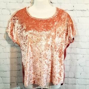 🌺Millennial Self Esteem Crushed Velvet Top - Dusty Pink Size Small🌺